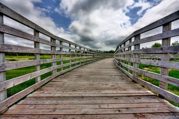 Wide Angle Bridge