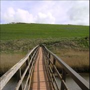 Wooden Bridge 2